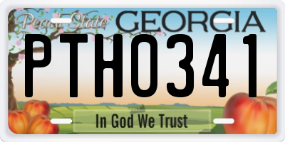 GA license plate PTH0341