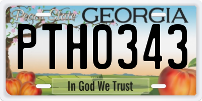 GA license plate PTH0343