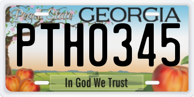 GA license plate PTH0345