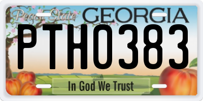 GA license plate PTH0383