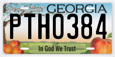 GA license plate PTH0384