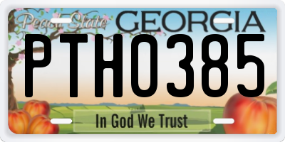 GA license plate PTH0385