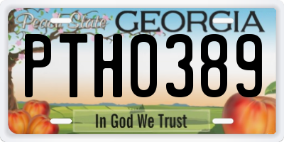 GA license plate PTH0389