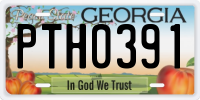 GA license plate PTH0391