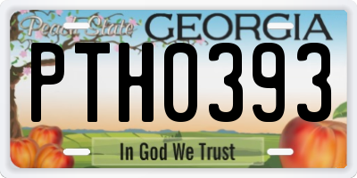 GA license plate PTH0393
