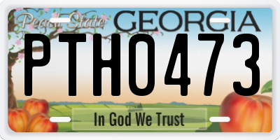 GA license plate PTH0473