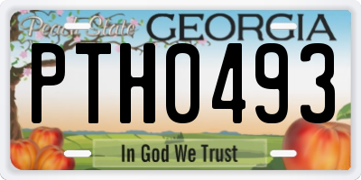 GA license plate PTH0493