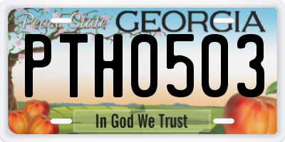 GA license plate PTH0503