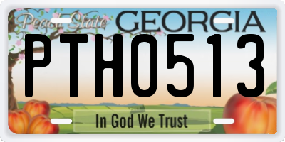 GA license plate PTH0513