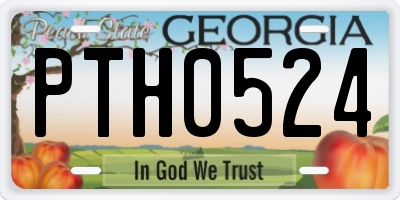 GA license plate PTH0524