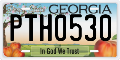 GA license plate PTH0530