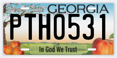 GA license plate PTH0531