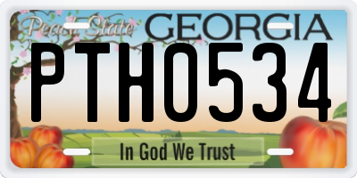 GA license plate PTH0534
