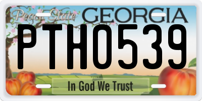 GA license plate PTH0539