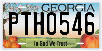 GA license plate PTH0546