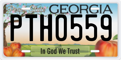 GA license plate PTH0559