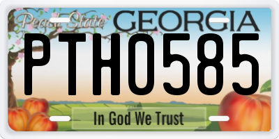 GA license plate PTH0585