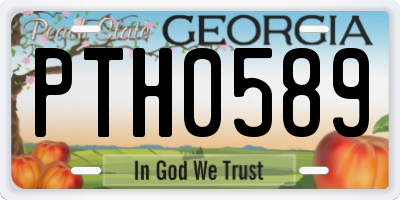 GA license plate PTH0589