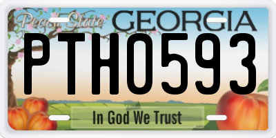 GA license plate PTH0593