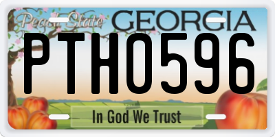 GA license plate PTH0596
