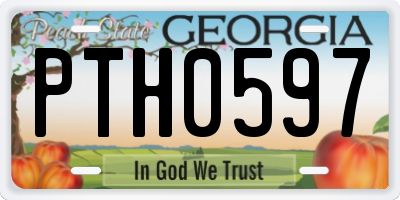 GA license plate PTH0597