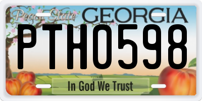 GA license plate PTH0598