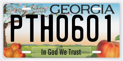 GA license plate PTH0601