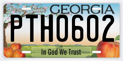 GA license plate PTH0602
