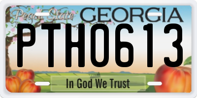 GA license plate PTH0613