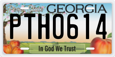 GA license plate PTH0614