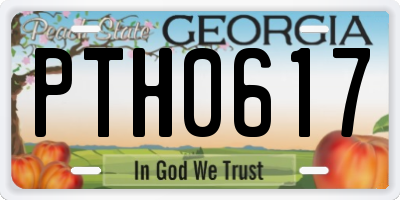 GA license plate PTH0617