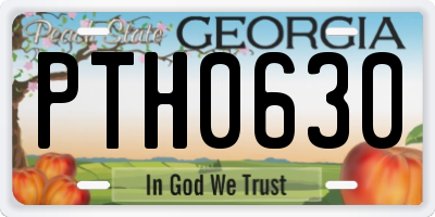 GA license plate PTH0630