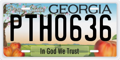 GA license plate PTH0636