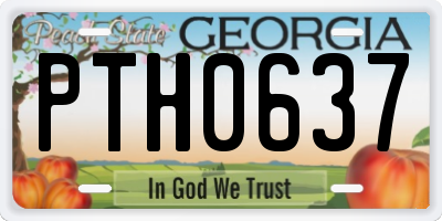 GA license plate PTH0637