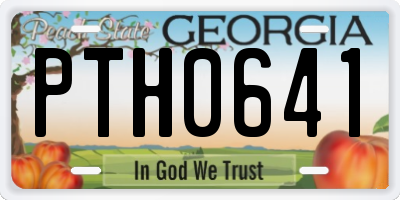 GA license plate PTH0641