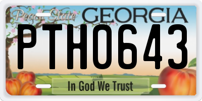 GA license plate PTH0643