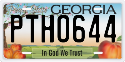 GA license plate PTH0644
