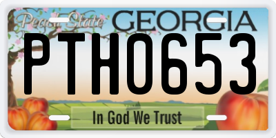 GA license plate PTH0653