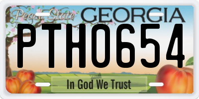 GA license plate PTH0654