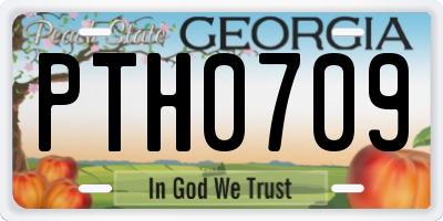 GA license plate PTH0709