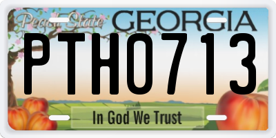 GA license plate PTH0713