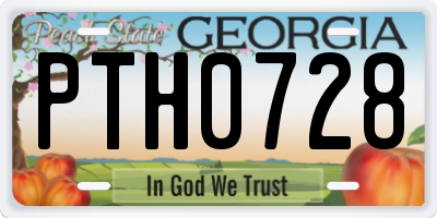 GA license plate PTH0728