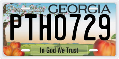 GA license plate PTH0729