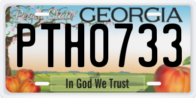 GA license plate PTH0733