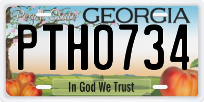 GA license plate PTH0734