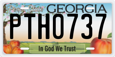 GA license plate PTH0737