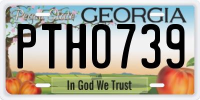 GA license plate PTH0739