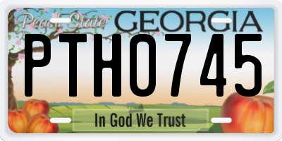 GA license plate PTH0745