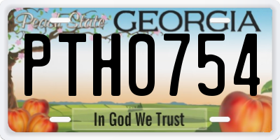 GA license plate PTH0754