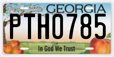 GA license plate PTH0785
